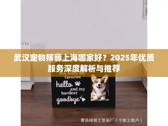 武汉宠物殡葬上海哪家好？2025年优质服务深度解析与推荐