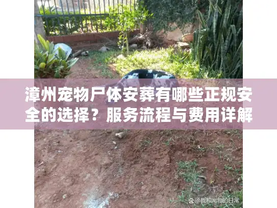 漳州宠物尸体安葬有哪些正规安全的选择？服务流程与费用详解