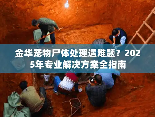 金华宠物尸体处理遇难题？2025年专业解决方案全指南
