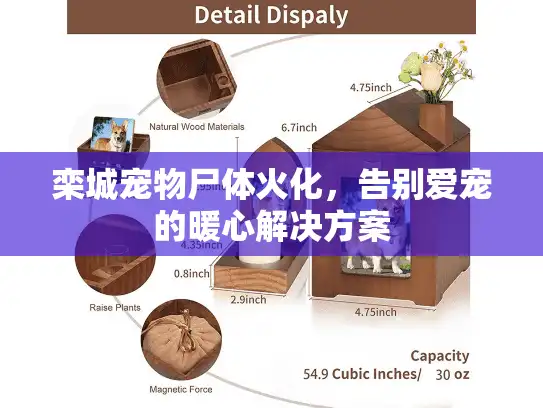栾城宠物尸体火化，告别爱宠的暖心解决方案