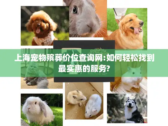 上海宠物殡葬价位查询网:如何轻松找到最实惠的服务?