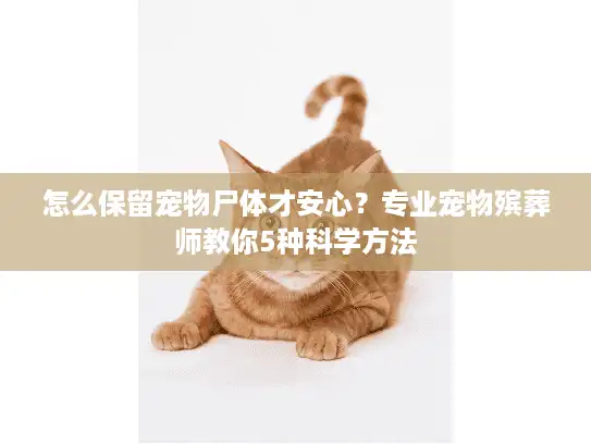 怎么保留宠物尸体才安心？专业宠物殡葬师教你5种科学方法