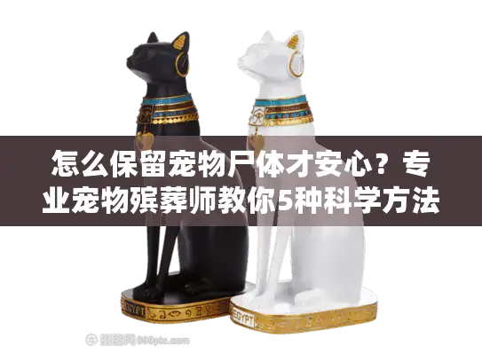 怎么保留宠物尸体才安心？专业宠物殡葬师教你5种科学方法