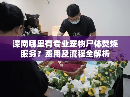 滦南哪里有专业宠物尸体焚烧服务？费用及流程全解析