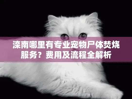 滦南哪里有专业宠物尸体焚烧服务？费用及流程全解析