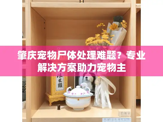 肇庆宠物尸体处理难题？专业解决方案助力宠物主