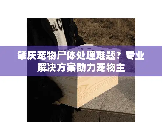 肇庆宠物尸体处理难题？专业解决方案助力宠物主