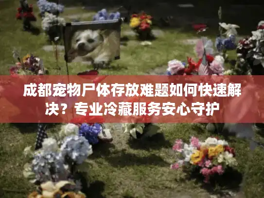 成都宠物尸体存放难题如何快速解决？专业冷藏服务安心守护