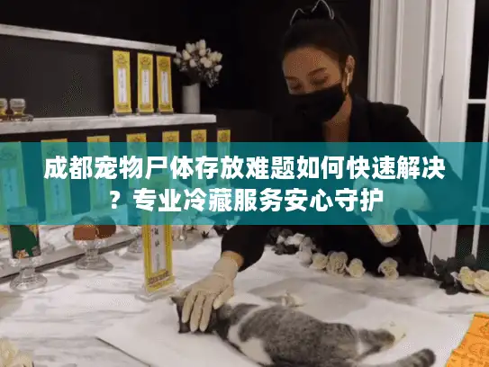 成都宠物尸体存放难题如何快速解决？专业冷藏服务安心守护