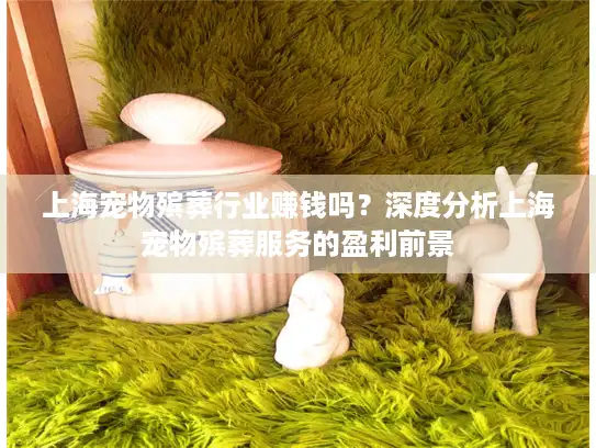上海宠物殡葬行业赚钱吗？深度分析上海宠物殡葬服务的盈利前景