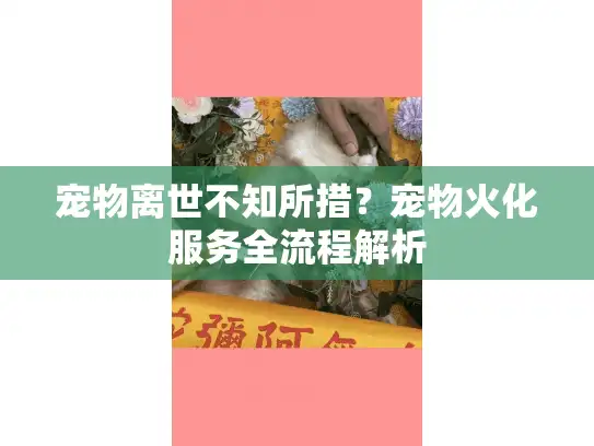 宠物离世不知所措？宠物火化服务全流程解析