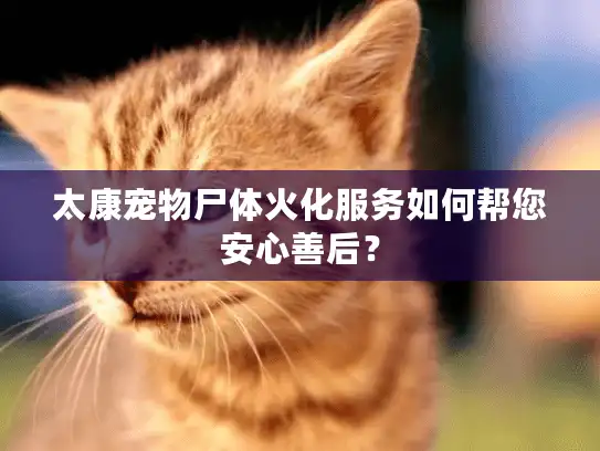 太康宠物尸体火化服务如何帮您安心善后？