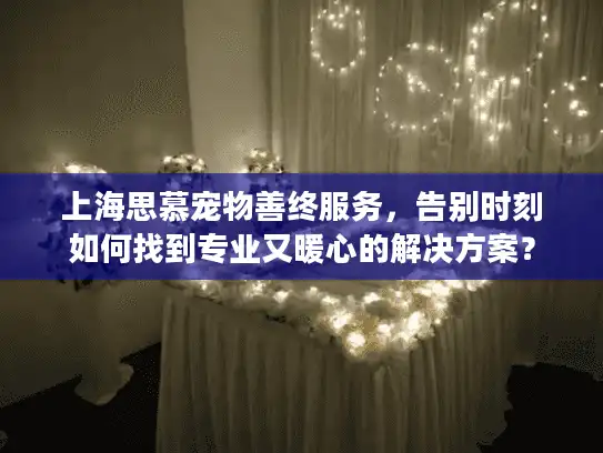 上海思慕宠物善终服务，告别时刻如何找到专业又暖心的解决方案？