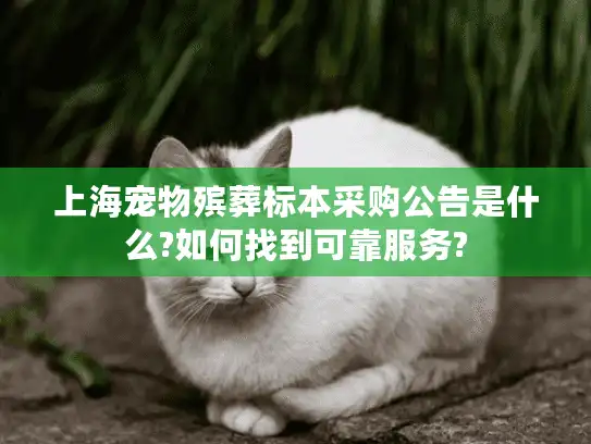 上海宠物殡葬标本采购公告是什么?如何找到可靠服务?