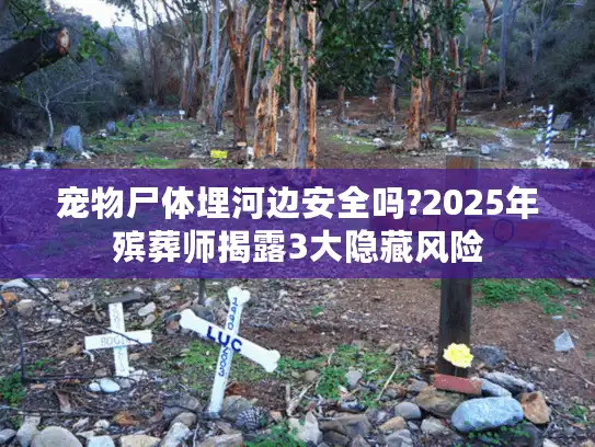 宠物尸体埋河边安全吗?2025年殡葬师揭露3大隐藏风险