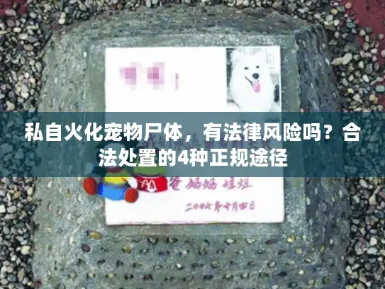 私自火化宠物尸体，有法律风险吗？合法处置的4种正规途径
