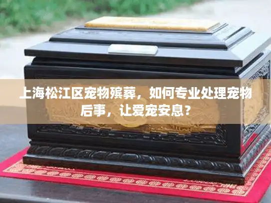 上海松江区宠物殡葬，如何专业处理宠物后事，让爱宠安息？