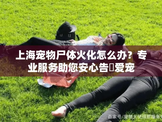 上海宠物尸体火化怎么办？专业服务助您安心告別爱宠