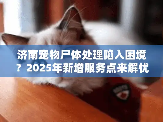 济南宠物尸体处理陷入困境？2025年新增服务点来解忧