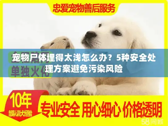 宠物尸体埋得太浅怎么办？5种安全处理方案避免污染风险
