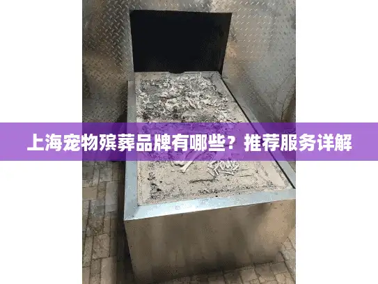 上海宠物殡葬品牌有哪些？推荐服务详解