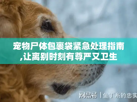 宠物尸体包裹袋紧急处理指南,让离别时刻有尊严又卫生