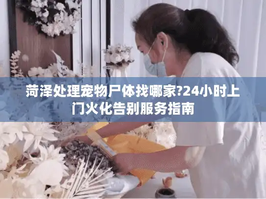 菏泽处理宠物尸体找哪家?24小时上门火化告别服务指南