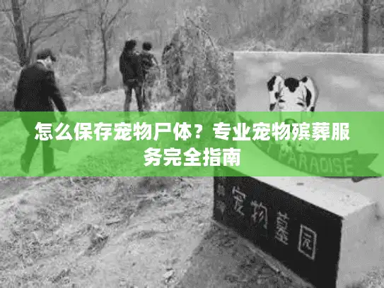 怎么保存宠物尸体？专业宠物殡葬服务完全指南