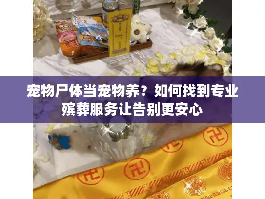 宠物尸体当宠物养？如何找到专业殡葬服务让告别更安心