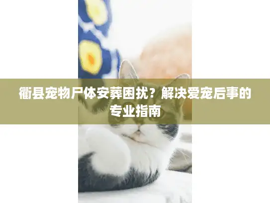 衢县宠物尸体安葬困扰？解决爱宠后事的专业指南
