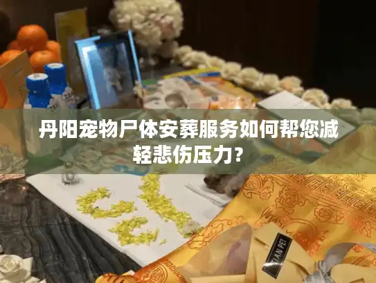 丹阳宠物尸体安葬服务如何帮您减轻悲伤压力？