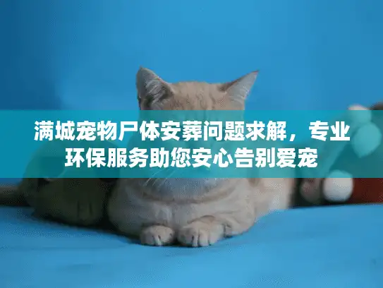 满城宠物尸体安葬问题求解，专业环保服务助您安心告别爱宠