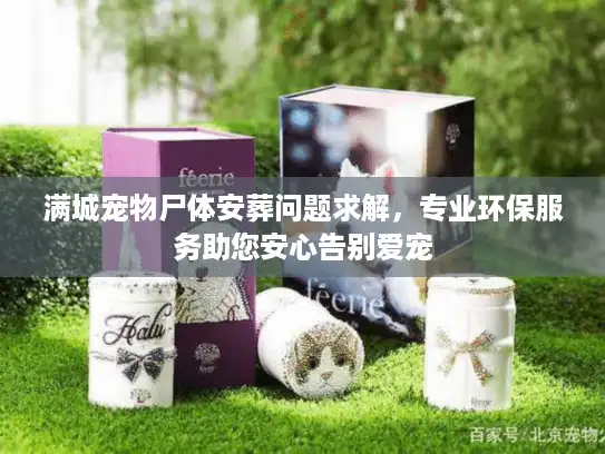 满城宠物尸体安葬问题求解，专业环保服务助您安心告别爱宠