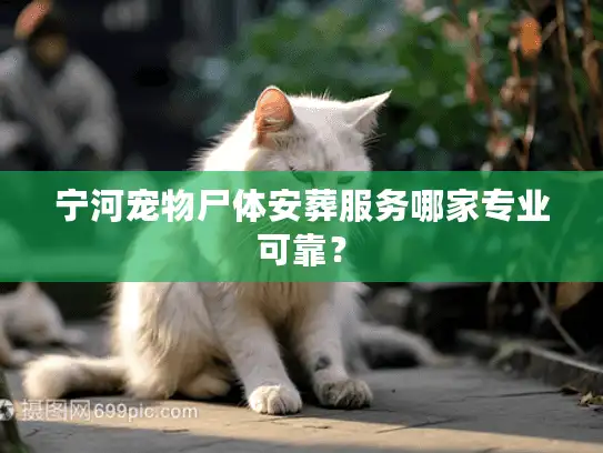 宁河宠物尸体安葬服务哪家专业可靠？