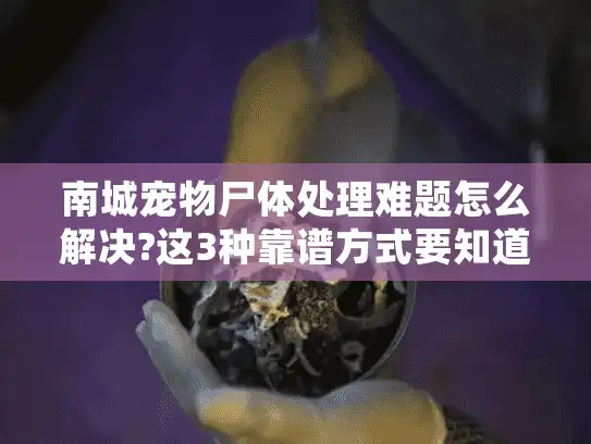 南城宠物尸体处理难题怎么解决?这3种靠谱方式要知道