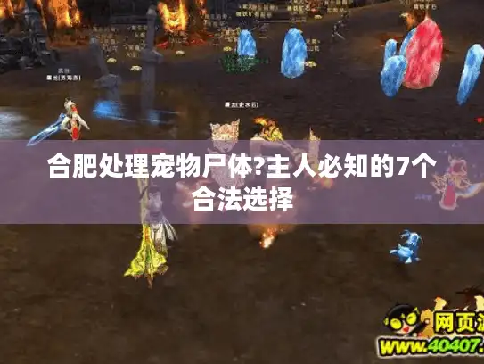 合肥处理宠物尸体?主人必知的7个合法选择