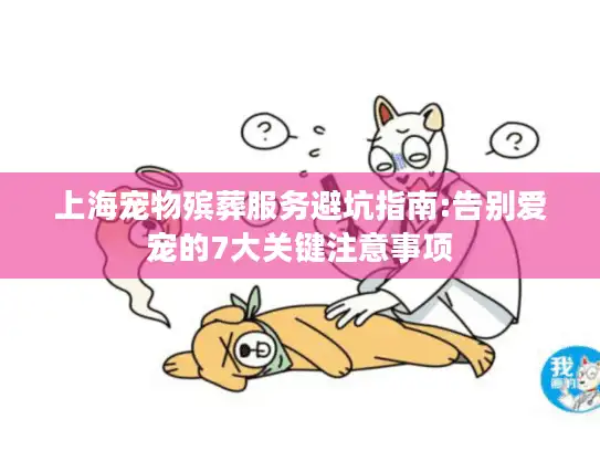 上海宠物殡葬服务避坑指南:告别爱宠的7大关键注意事项