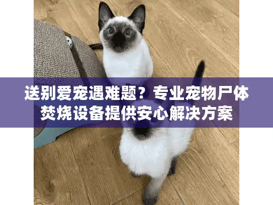 送别爱宠遇难题？专业宠物尸体焚烧设备提供安心解决方案