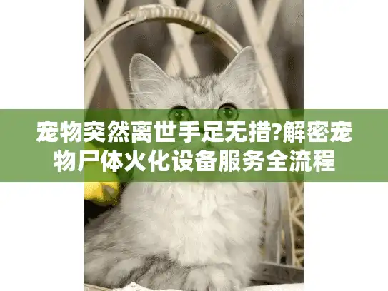 宠物突然离世手足无措?解密宠物尸体火化设备服务全流程