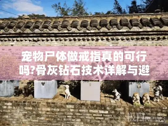 宠物尸体做戒指真的可行吗?骨灰钻石技术详解与避坑指南