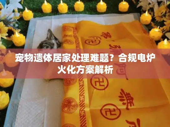 宠物遗体居家处理难题？合规电炉火化方案解析