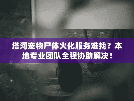 塔河宠物尸体火化服务难找？本地专业团队全程协助解决！