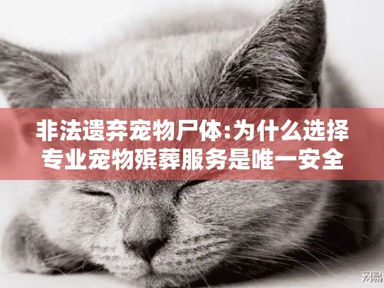 非法遗弃宠物尸体:为什么选择专业宠物殡葬服务是唯一安全途径?