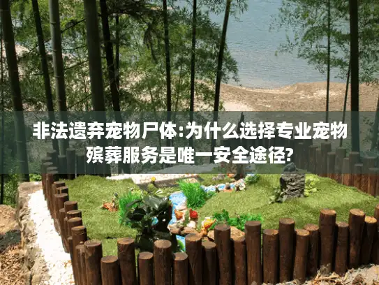 非法遗弃宠物尸体:为什么选择专业宠物殡葬服务是唯一安全途径?