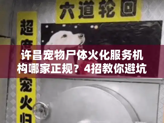 许昌宠物尸体火化服务机构哪家正规？4招教你避坑