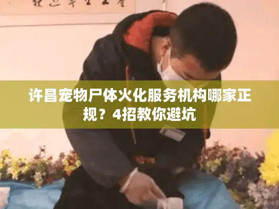 许昌宠物尸体火化服务机构哪家正规？4招教你避坑