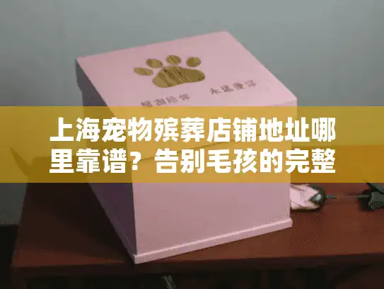 上海宠物殡葬店铺地址哪里靠谱？告别毛孩的完整指南