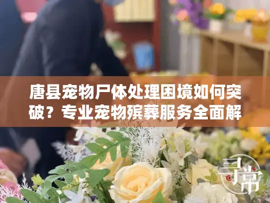 唐县宠物尸体处理困境如何突破？专业宠物殡葬服务全面解析