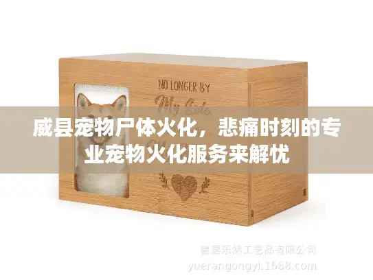 威县宠物尸体火化，悲痛时刻的专业宠物火化服务来解忧
