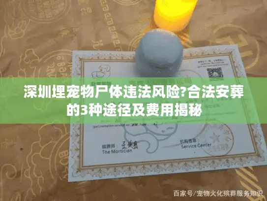 深圳埋宠物尸体违法风险?合法安葬的3种途径及费用揭秘